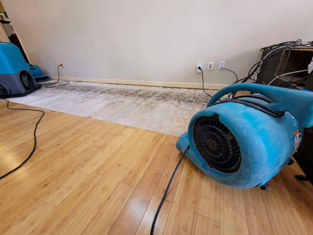 Professional Water Damage Repair technician working in Toughkenamon, PA